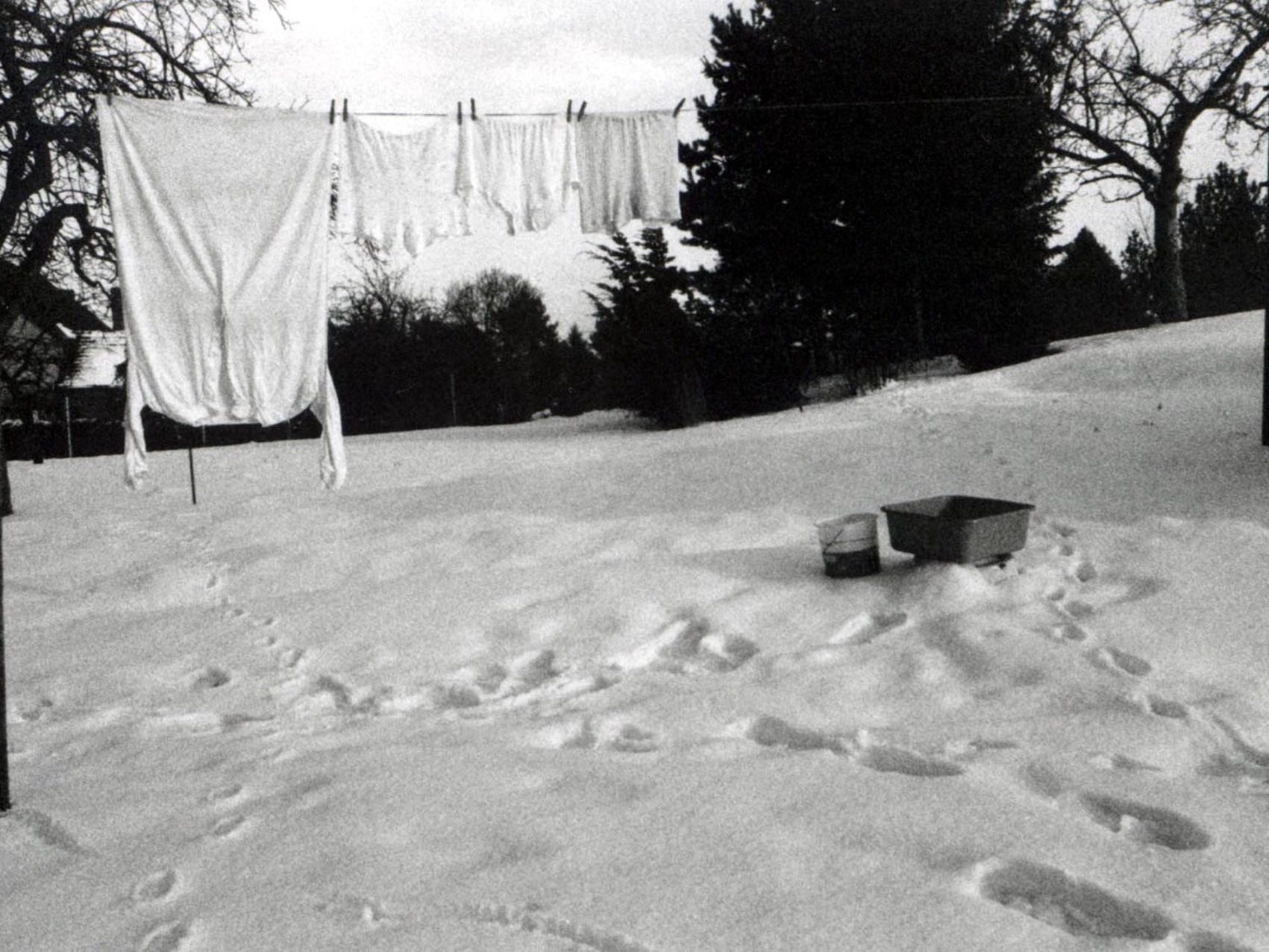 Keutschen 2004
(Foto.RBeyer)