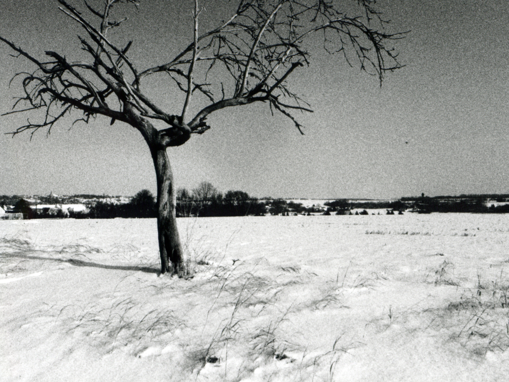 Keutschen 2004 (Foto.RBeyer)